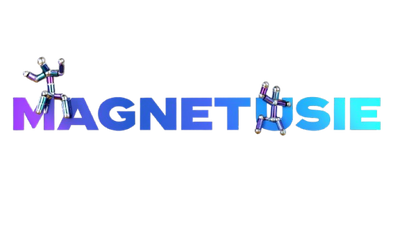 Magnetusie