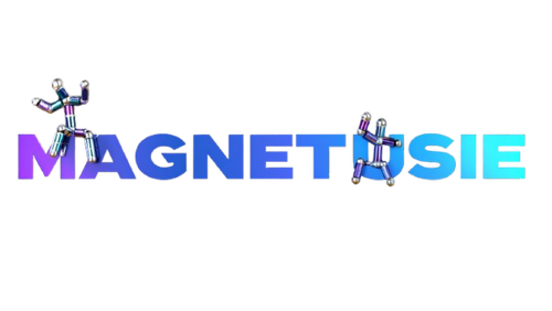 Magnetusie